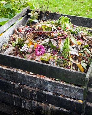 plant einen mittwoch nuremberg Pflanzen-Kölle Gartencenter GmbH & Co. KG Nürnberg