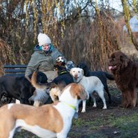 unterkunft fur hunde nuremberg Hundepension Fürth Sabine Meyer