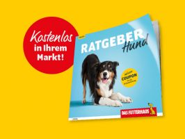 Neu bei uns im Markt: Ratgeber Hund