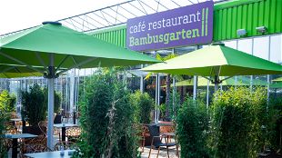 laden um kunstliche pflanzen zu kaufen nuremberg Pflanzen-Kölle Gartencenter GmbH & Co. KG Nürnberg