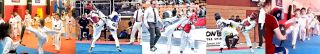 taekwondo kurse nuremberg Tae-kwon-do Elite e.V.