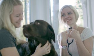 tierkliniken nuremberg Fachtierarztpraxis Janka Dietz