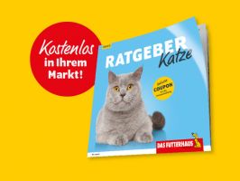 Neu bei uns im Markt: Ratgeber Katze