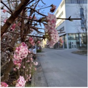 (Schüler*innen des Hermann-Kesten-Kollegs / @hkk_nuernberg)