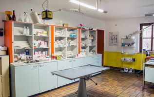 tierarzt frei nuremberg Dr. med. vet. Ursula Leyer