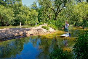 inline skate shops nuremberg Boardnerds SUP Shop, Verleih, Kurse & Events