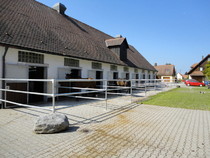 reitunterricht nuremberg Reitstall Nürnberg Neunhof