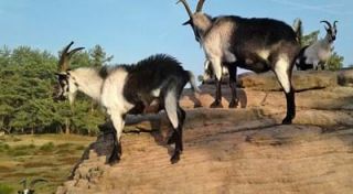 naturparks in der nahe nuremberg Tennenloher Forst