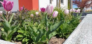 spezialisten fur landschaftsgestaltung nuremberg Bösl Garten- und Landschaftsbau