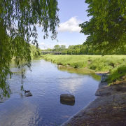 Idyllisch schlängelt sich die Pegnitz durch die Auen. (Christine Dierenbach / Stadt Nürnberg)