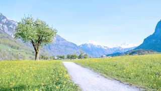 spezialisten fur fibromyalgie nuremberg Medic-Center Schweinau