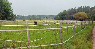 reiten in der nahe nuremberg Reitanlage Klosterhof-Pillenreuth