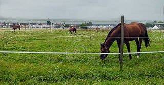 reiten in der nahe nuremberg Reitanlage Klosterhof-Pillenreuth