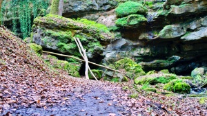 Wanderung durch die Teufelsschlucht