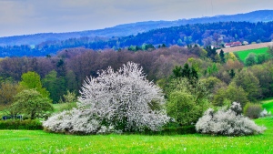 Blick hinüber in Richtung Dillberg