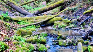 Teufelsschlucht bei Grünsberg