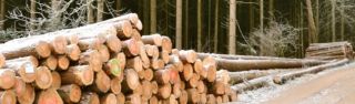 geschafte um eichenbrennholz zu kaufen nuremberg Heinz Geistmann GmbH
