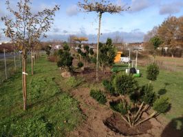 prasenzkurse im gartenbau nuremberg Peter Rübner Creative GartenIdeen