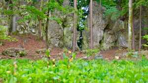 Türkenfelsen