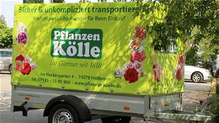 billige pflanzen nuremberg Pflanzen-Kölle Gartencenter GmbH & Co. KG Nürnberg