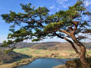 Aussicht vom hohlen Fels auf den Happurger See